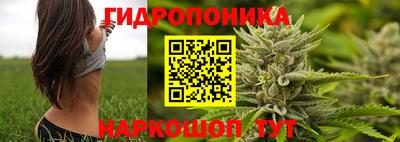 a pvp Краснокаменск