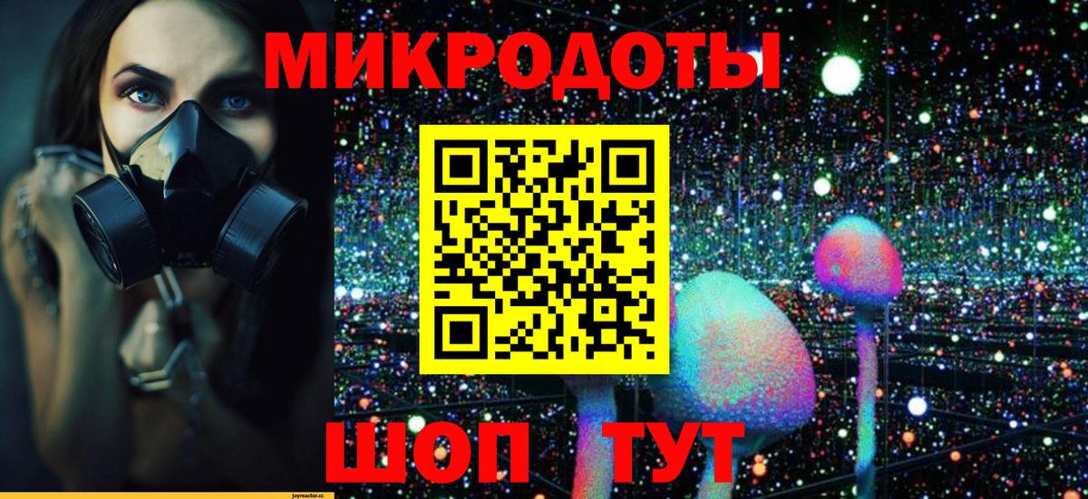 Псилоцибиновые грибы ЛСД Котлас