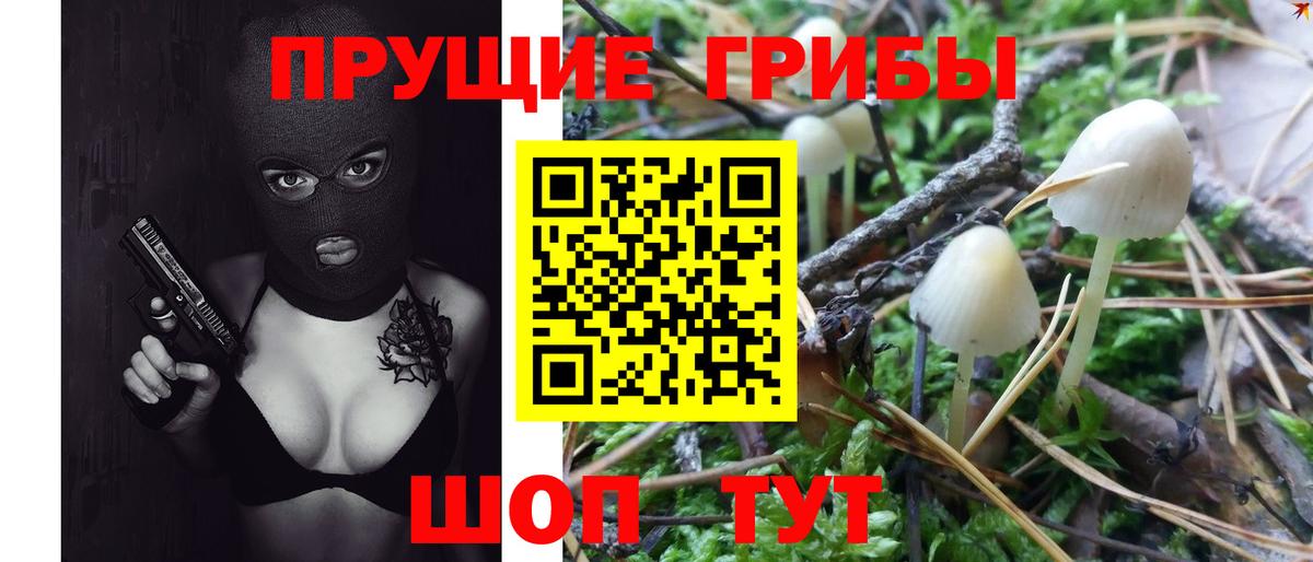 Галлюциногенные грибы Magic Shrooms  дарнет шоп  Котлас  Вход с VPN 
